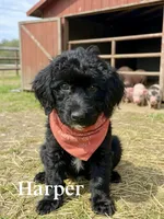 processed/203e4d42-1f6b-4db6-85cc-b91ac9b0742f/listing/15040a86-095f-4adf-a180-943e2ed1084f/53a795e8-de47-450e-8d79-68a194117e3d