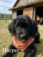 processed/203e4d42-1f6b-4db6-85cc-b91ac9b0742f/listing/15040a86-095f-4adf-a180-943e2ed1084f/85da6a92-4c64-49d9-8c48-664de0a3b492