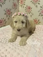 processed/203e4d42-1f6b-4db6-85cc-b91ac9b0742f/listing/37a20af3-2122-486d-8ba7-f01aa3d2b693/d3eb439f-e808-41dd-beb3-0b5b7f504418