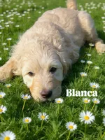 processed/203e4d42-1f6b-4db6-85cc-b91ac9b0742f/listing/a4288fc9-5cae-45e0-bb63-9561831667cd/ed7dc3a1-506f-49aa-9287-bdc7a5369822