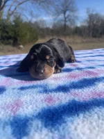 processed/2047c089-e7b6-48fa-91b0-53459003895d/listing/cae35430-54c1-4e36-b75a-38bec02bfaa4/e8714b10-217e-4e60-912b-4c5aef99ac4d