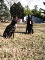 processed/2050b550-ccc0-4a0e-8cd6-a5a6292e9692/facility/ca969d2e-272f-41d8-b8fc-5b83eefb420d