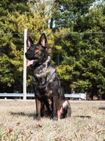 processed/2050b550-ccc0-4a0e-8cd6-a5a6292e9692/facility/cb3e8d67-75e0-4fae-942e-1096c793e84d