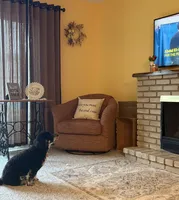 Grace Ann, a female Miniature Bernedoodle for sale in Bay City, MI – 4 of 7