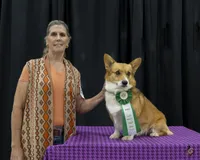 processed/205e22ca-d0e6-46ef-8794-102344c11066/facility/022432c7-a64a-413d-b2e0-8f7dd4ae7609