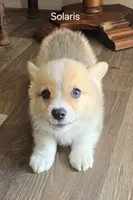 processed/205e22ca-d0e6-46ef-8794-102344c11066/facility/a70e15b4-79d8-47e0-96be-915a1500ea9a