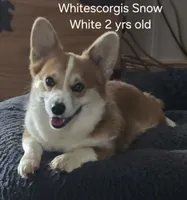 processed/205e22ca-d0e6-46ef-8794-102344c11066/facility/d16471db-d102-40e3-a199-7a9ef2adeb73