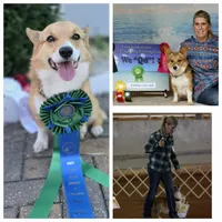 processed/205e22ca-d0e6-46ef-8794-102344c11066/facility/e0a89304-25e7-420f-8db9-ce19c92c1184