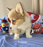 processed/205e22ca-d0e6-46ef-8794-102344c11066/facility/f3e57748-8b09-48b1-bd44-adb0fac2b58b