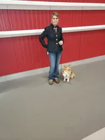 male 2, a male Pembroke Welsh Corgi for sale in Milton, FL – Photo 6 of 10