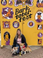 rf Dottie, a female Pembroke Welsh Corgi for sale in Milton, FL – Photo 7 of 8