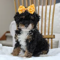 processed/20619727-d1c3-496f-ba7f-e9558dc7d280/facility/36575c84-1116-4f75-9bd3-f5e613197fe7