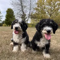 processed/20619727-d1c3-496f-ba7f-e9558dc7d280/facility/6c022527-6abe-4c24-ab14-f9a7cf3460ee