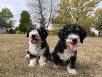 processed/20619727-d1c3-496f-ba7f-e9558dc7d280/facility/6c022527-6abe-4c24-ab14-f9a7cf3460ee