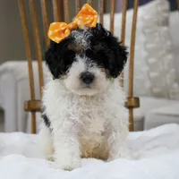 processed/20619727-d1c3-496f-ba7f-e9558dc7d280/facility/74a66701-44dc-41fd-8782-bdcf914aec28