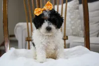 processed/20619727-d1c3-496f-ba7f-e9558dc7d280/facility/74a66701-44dc-41fd-8782-bdcf914aec28