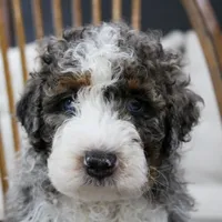 processed/20619727-d1c3-496f-ba7f-e9558dc7d280/facility/90d4a844-5069-47b3-8f79-98c3f89c9903