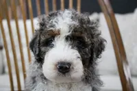 processed/20619727-d1c3-496f-ba7f-e9558dc7d280/facility/90d4a844-5069-47b3-8f79-98c3f89c9903