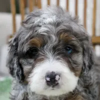 processed/20619727-d1c3-496f-ba7f-e9558dc7d280/facility/b684fe66-5f15-4f06-a6af-8e3b4d52f5e3