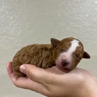 processed/20619727-d1c3-496f-ba7f-e9558dc7d280/facility/da1925ca-687d-4849-80a4-0a80366ed48a