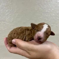 processed/20619727-d1c3-496f-ba7f-e9558dc7d280/facility/da1925ca-687d-4849-80a4-0a80366ed48a