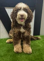 processed/20619727-d1c3-496f-ba7f-e9558dc7d280/listing/d36d4f47-7631-473e-8801-20f25bbc6d0d/70cd8b1d-041e-4701-8a3b-d26e8c105797