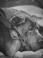 processed/2078a1ee-ec8a-4d1a-9926-a102fb9740a1/facility/042a3905-5af8-40d5-8851-c9fbfc08e151