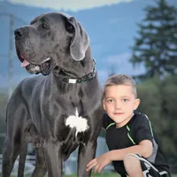 processed/2078a1ee-ec8a-4d1a-9926-a102fb9740a1/facility/4774563a-3e2c-4c79-b84c-129914987b9c