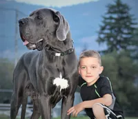 processed/2078a1ee-ec8a-4d1a-9926-a102fb9740a1/facility/4774563a-3e2c-4c79-b84c-129914987b9c