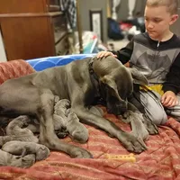 processed/2078a1ee-ec8a-4d1a-9926-a102fb9740a1/facility/6829ed7b-c6ac-4804-9e17-38e6e869c46f