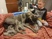 processed/2078a1ee-ec8a-4d1a-9926-a102fb9740a1/facility/6829ed7b-c6ac-4804-9e17-38e6e869c46f