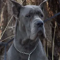 processed/2078a1ee-ec8a-4d1a-9926-a102fb9740a1/facility/97f8feeb-339d-4ff4-b66b-1712291ac831