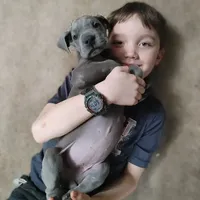 processed/2078a1ee-ec8a-4d1a-9926-a102fb9740a1/facility/9a52ce1f-2c06-468f-b3ac-04601f4662c5