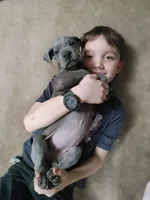 processed/2078a1ee-ec8a-4d1a-9926-a102fb9740a1/facility/9a52ce1f-2c06-468f-b3ac-04601f4662c5