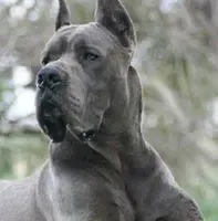 processed/2078a1ee-ec8a-4d1a-9926-a102fb9740a1/facility/d0efe084-1bb1-4d39-aaed-6a001d515d98