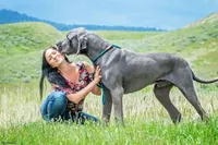 processed/2078a1ee-ec8a-4d1a-9926-a102fb9740a1/facility/f715524e-6cf6-4c0f-8b51-c71d60cbfba0