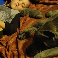 processed/2078a1ee-ec8a-4d1a-9926-a102fb9740a1/facility/f71c6e8b-60f5-4ce6-99db-f4fd7096e75c