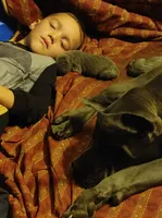 processed/2078a1ee-ec8a-4d1a-9926-a102fb9740a1/facility/f71c6e8b-60f5-4ce6-99db-f4fd7096e75c