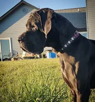 processed/2078a1ee-ec8a-4d1a-9926-a102fb9740a1/listing/dc0e65eb-8e4e-41cc-9532-6728164999f6/3afe4ebd-ab3f-4eaa-96c0-221b10d493cc