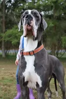 processed/2078a1ee-ec8a-4d1a-9926-a102fb9740a1/listing/dc0e65eb-8e4e-41cc-9532-6728164999f6/8fded0f6-c8f5-443e-b204-35dbb6566f50