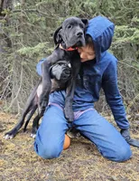 processed/2078a1ee-ec8a-4d1a-9926-a102fb9740a1/listing/dc0e65eb-8e4e-41cc-9532-6728164999f6/e6462b43-d0e8-4eea-84bd-ae5b6ad948c2