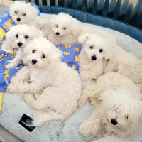 processed/207b192c-e411-4d14-94ec-b891f47cc639/facility/28ec9638-22c6-4fd4-af1c-5f87c266bf1f