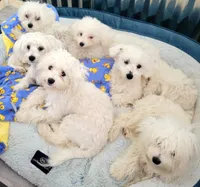 processed/207b192c-e411-4d14-94ec-b891f47cc639/facility/28ec9638-22c6-4fd4-af1c-5f87c266bf1f