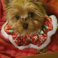 processed/207b192c-e411-4d14-94ec-b891f47cc639/facility/64d128a2-b12c-4469-80d9-3ba61e5d7901