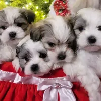 processed/207b192c-e411-4d14-94ec-b891f47cc639/facility/8ceda71b-8a04-4635-b871-16c0e7f957d2