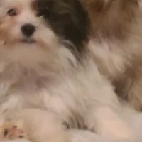 processed/207b192c-e411-4d14-94ec-b891f47cc639/facility/a75345bf-15d5-4455-ba8e-e92c3b726c14