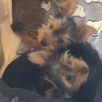 processed/207b192c-e411-4d14-94ec-b891f47cc639/facility/f4701c70-b31c-44a4-b08d-d5daf7028af8