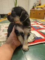 processed/207b192c-e411-4d14-94ec-b891f47cc639/listing/467f3dfb-81cd-44ec-a991-fabf69c91aea/18a188c3-e4b4-4043-914d-c70df73b17da