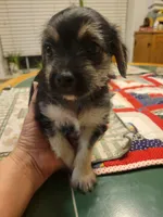 processed/207b192c-e411-4d14-94ec-b891f47cc639/listing/467f3dfb-81cd-44ec-a991-fabf69c91aea/aae05b49-ccd9-4ef1-a891-71c874509ac7