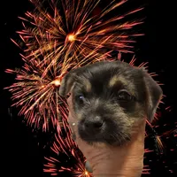 processed/207b192c-e411-4d14-94ec-b891f47cc639/listing/467f3dfb-81cd-44ec-a991-fabf69c91aea/e8e19a60-5a8c-4c8d-8378-dd2654c37a27